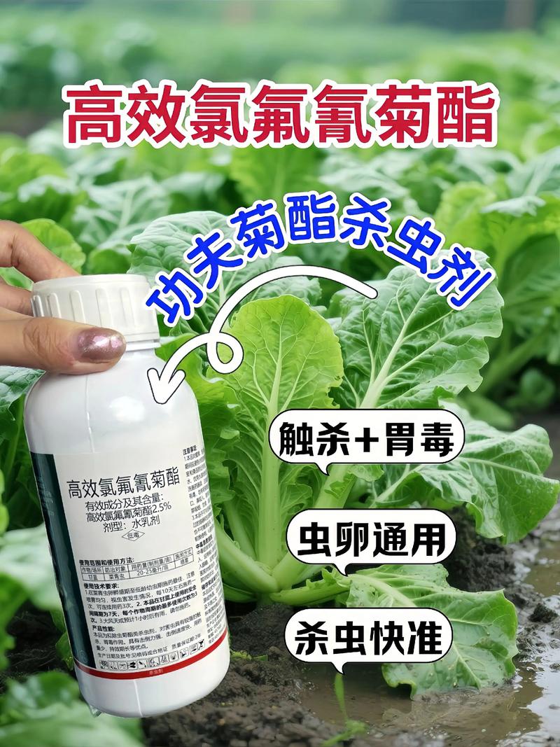 杭州代生中心:农药对供卵代生妈妈的危害